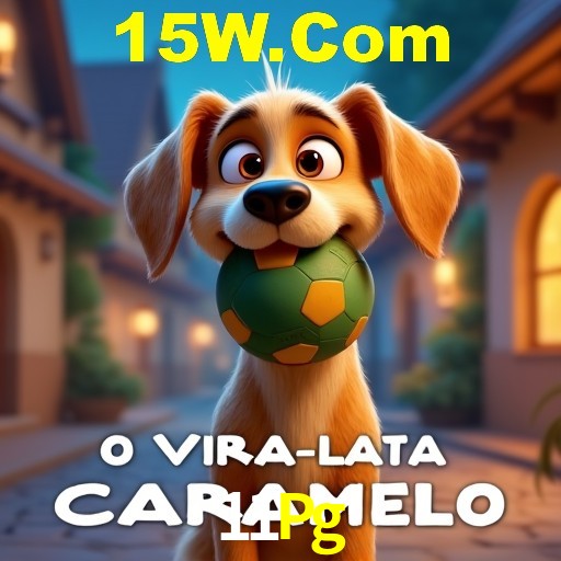 Experiência VIP 11Pg