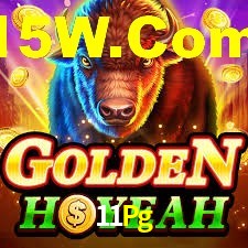 Premium Interface 11Pg